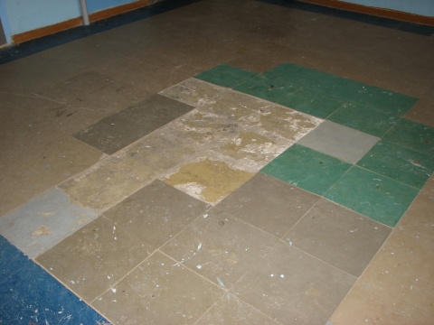 Пример напольного покрытия (1).JPG